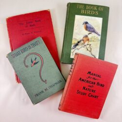 Antique Bird Study Nature Books, 1909-1935, a Group of Four